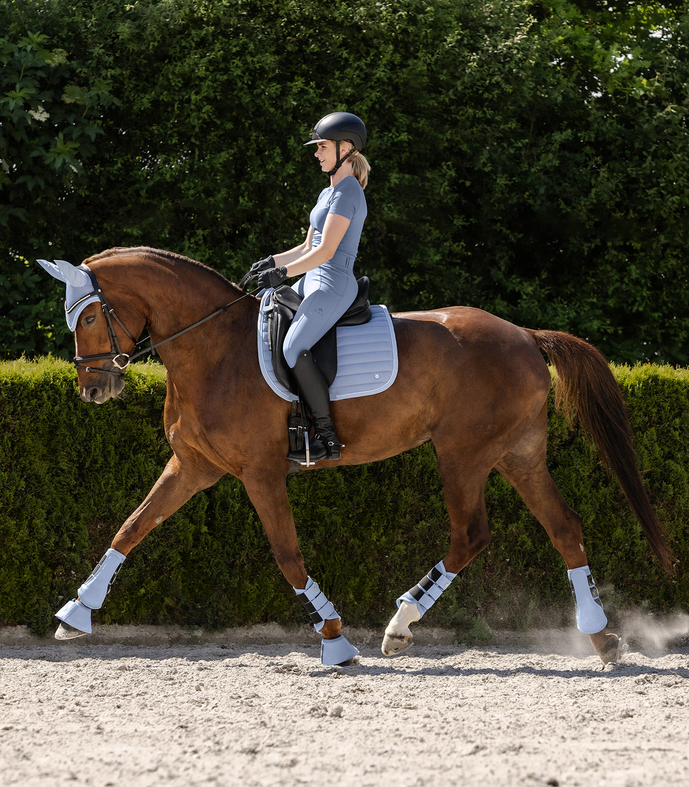 Valtrap Rimini D, albastru deschis, dresaj
