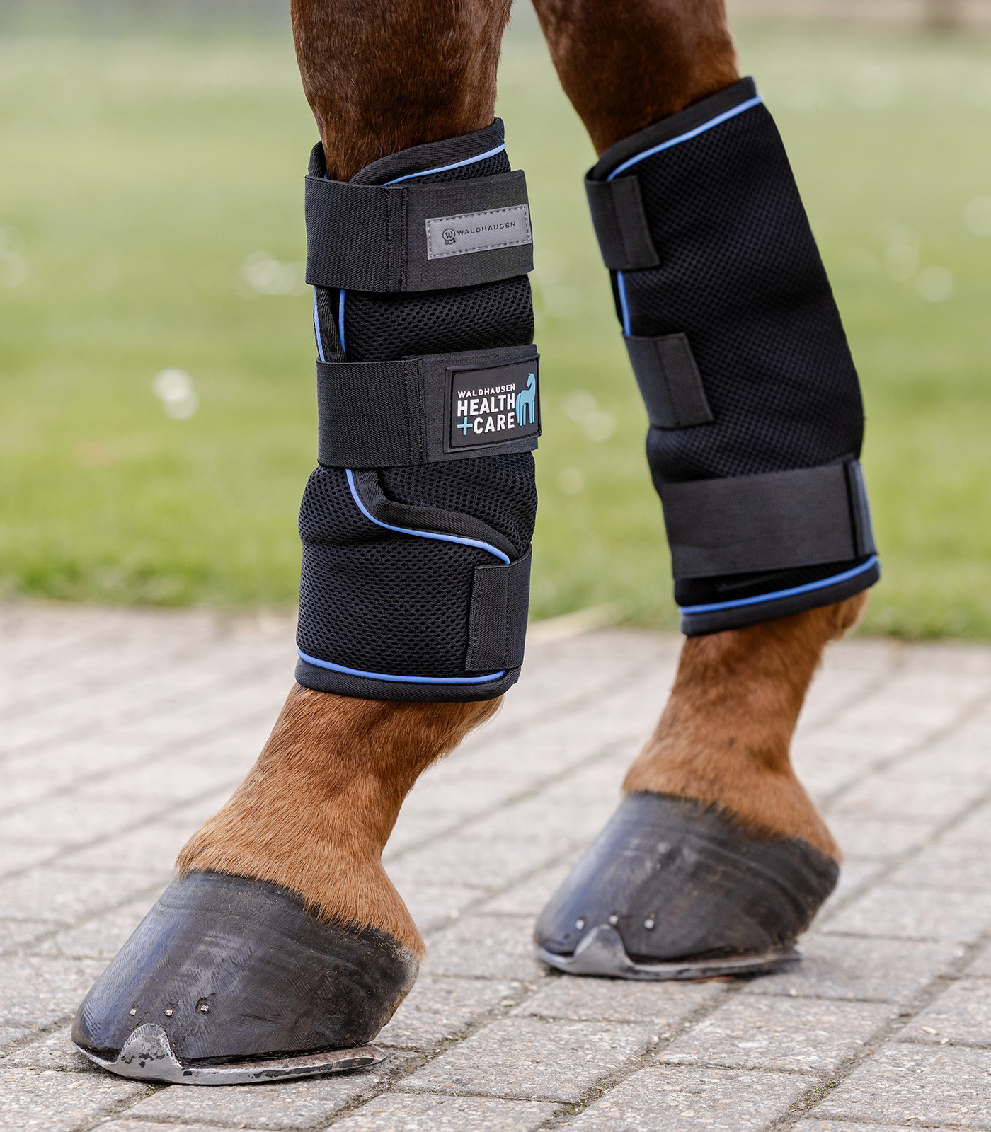 Waldhausen Health + Care Ice-Layer protecție pentru picioare, pereche, L
