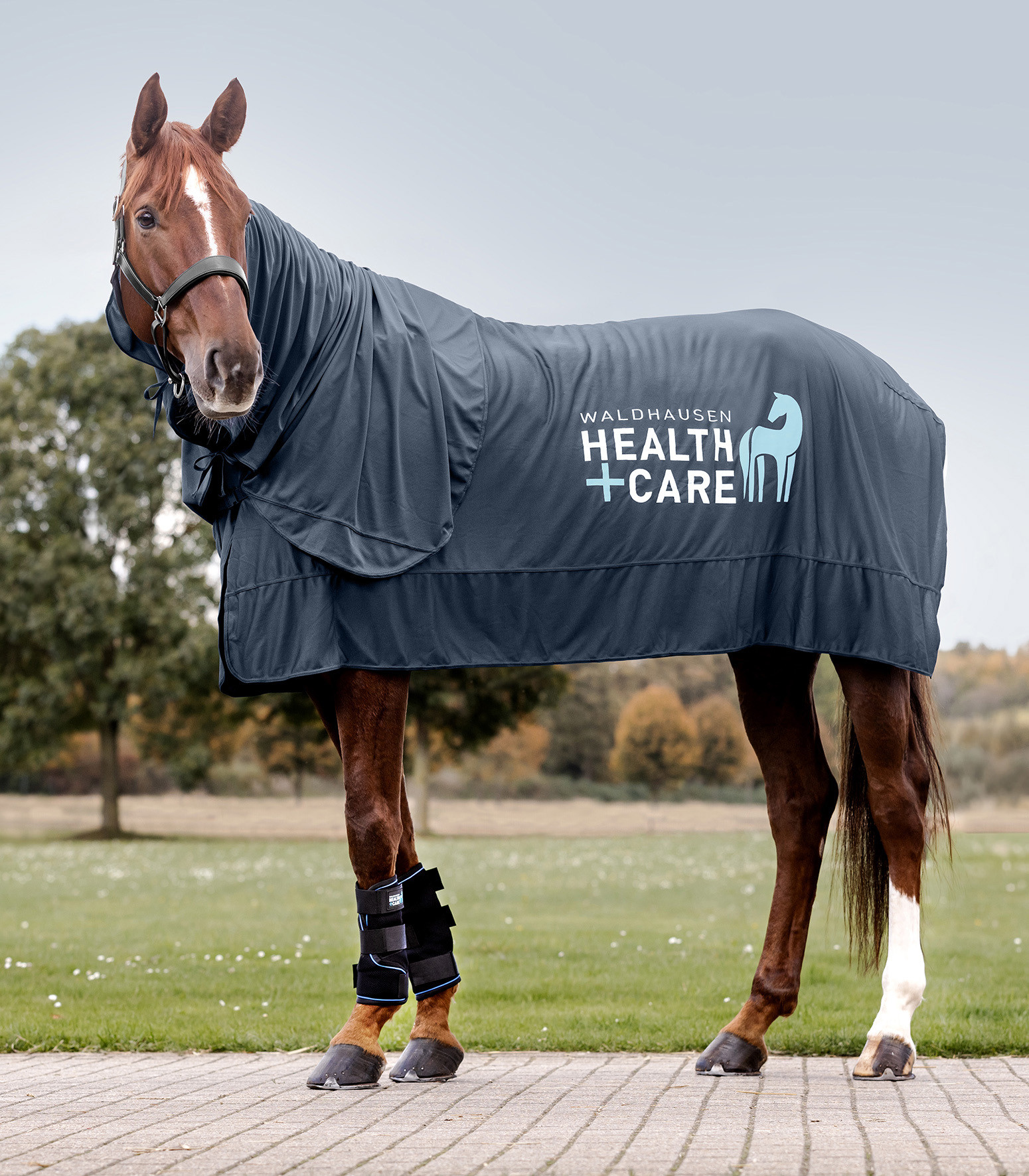 Waldhausen Health + Care Ice-Layer protecție pentru picioare, pereche, L