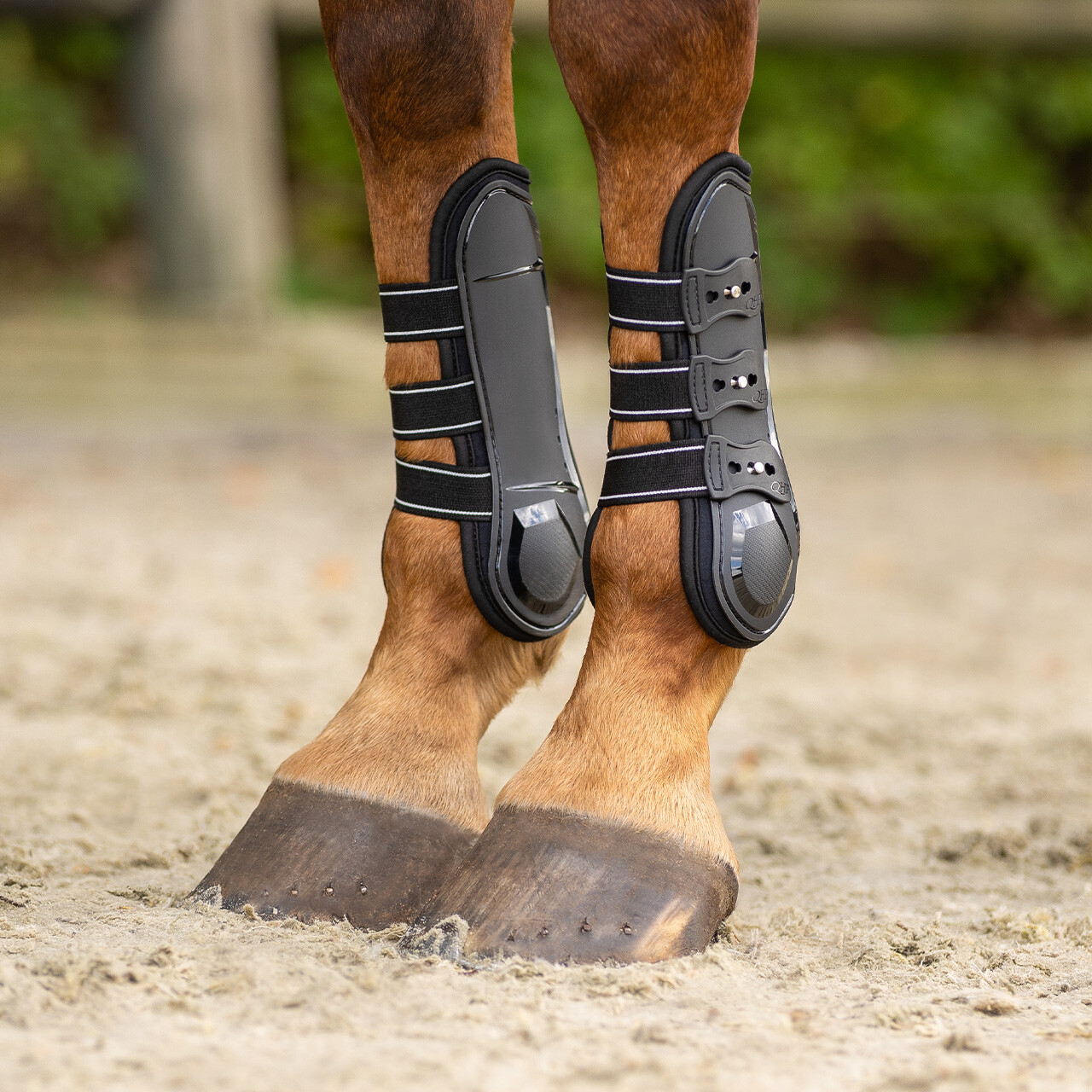 Jambiere pentru cai Champion Qhp, negru, cob