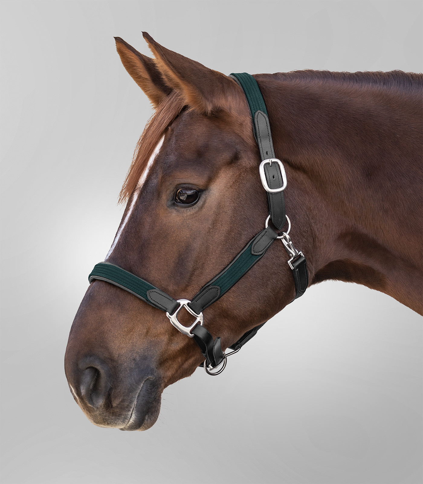Capastru Star Mix, verde, cob