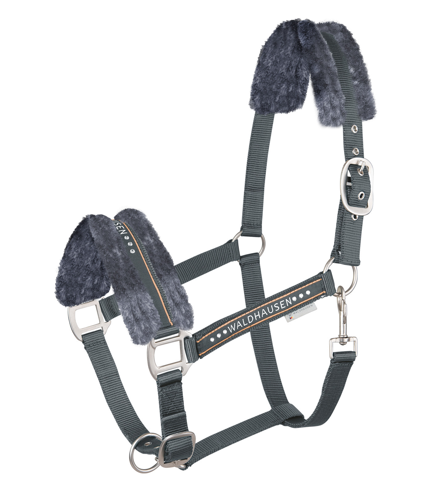 Capastru Elegant, gri, cob