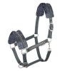 Capastru Elegant, gri, full