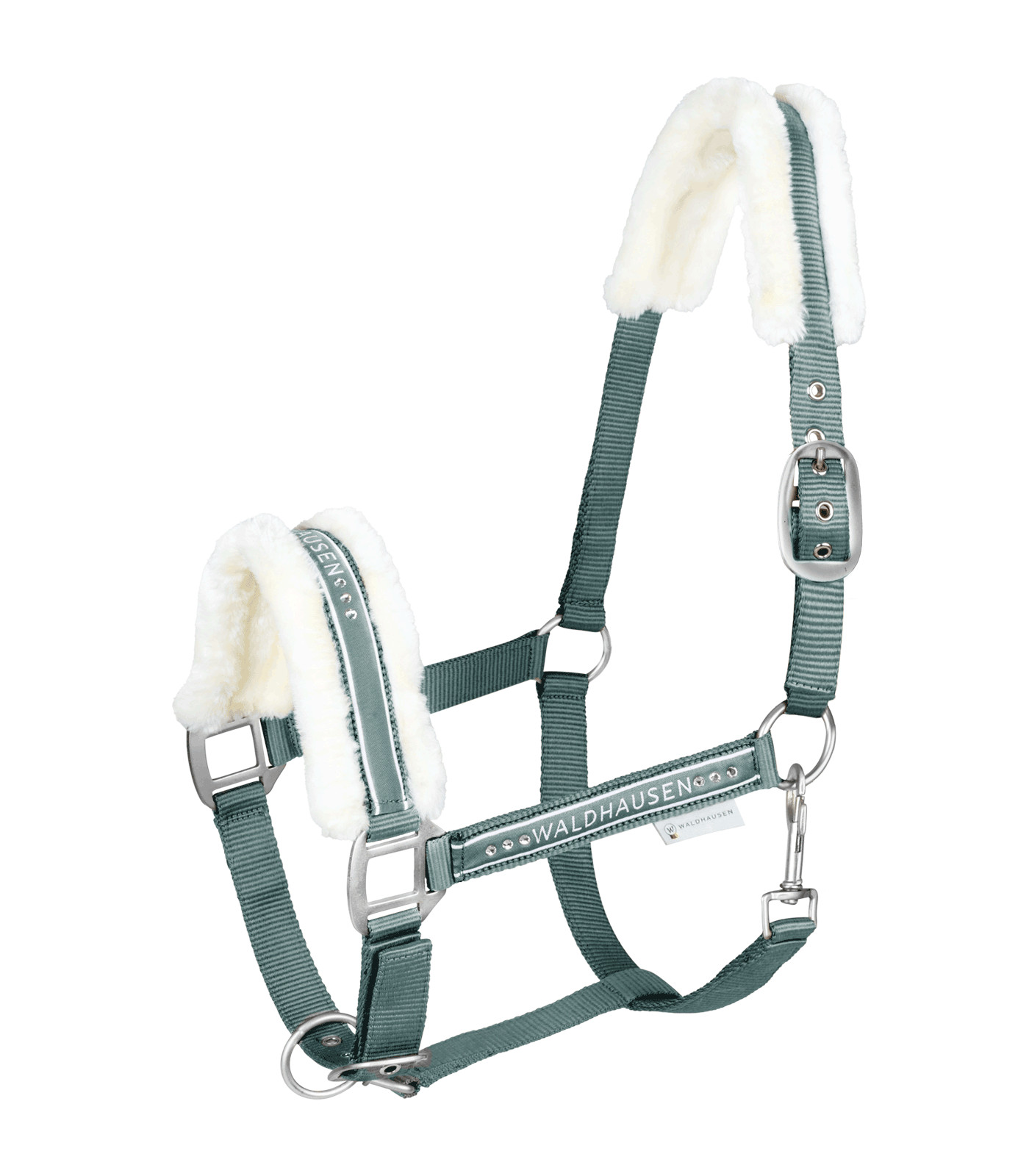 Capastru Elegant, verde, cob