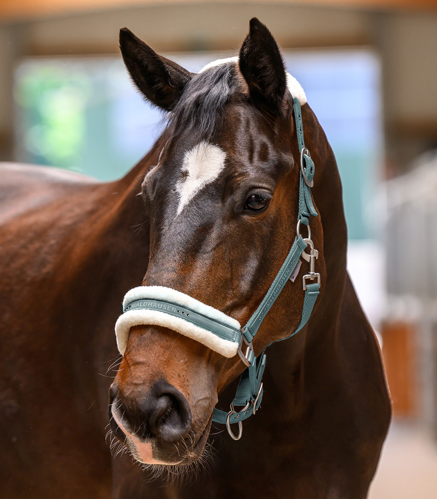 Capastru Elegant, verde, pony