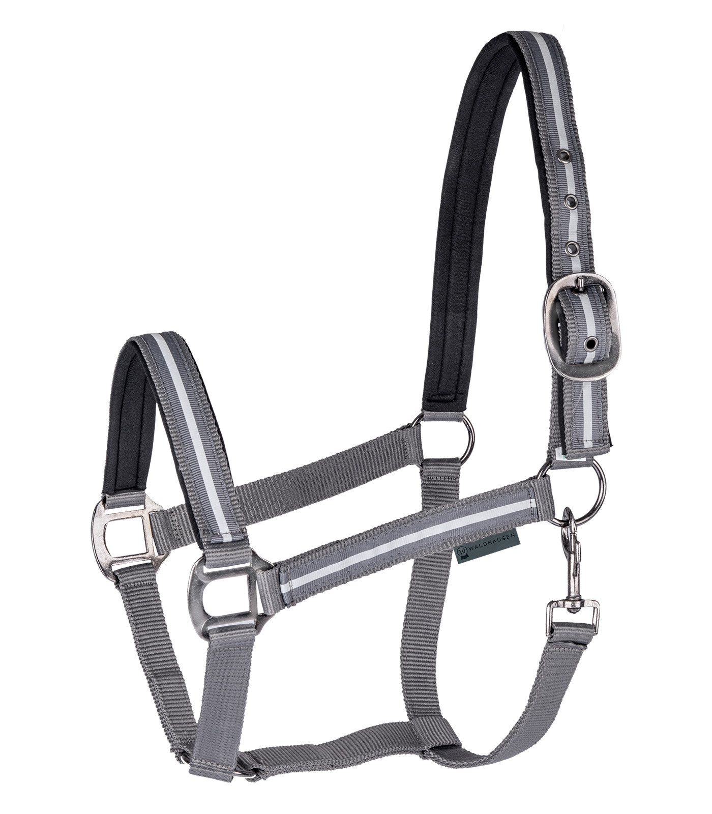 Capastru Reflex, pony