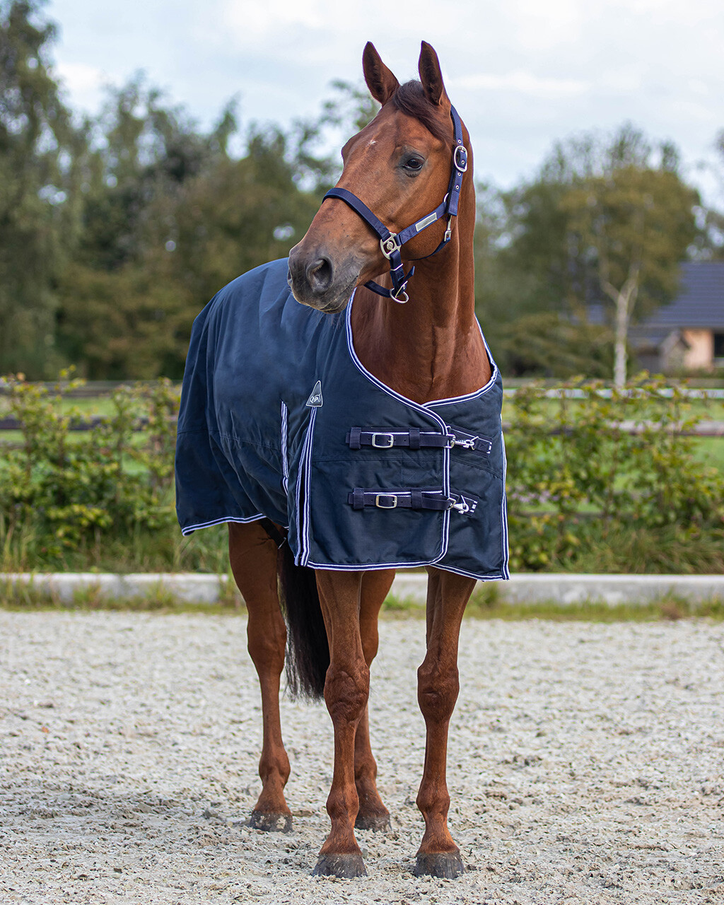 Pătură de ploaie de iarnă 600D cu căptușeală fleece, albastru, 125 cm