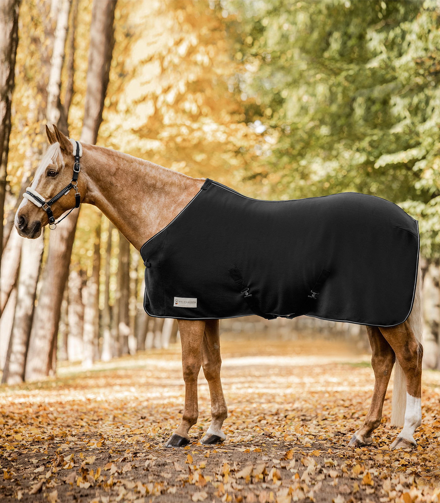 Patura fleece Economic cu chingi încrucișate, negru, 135