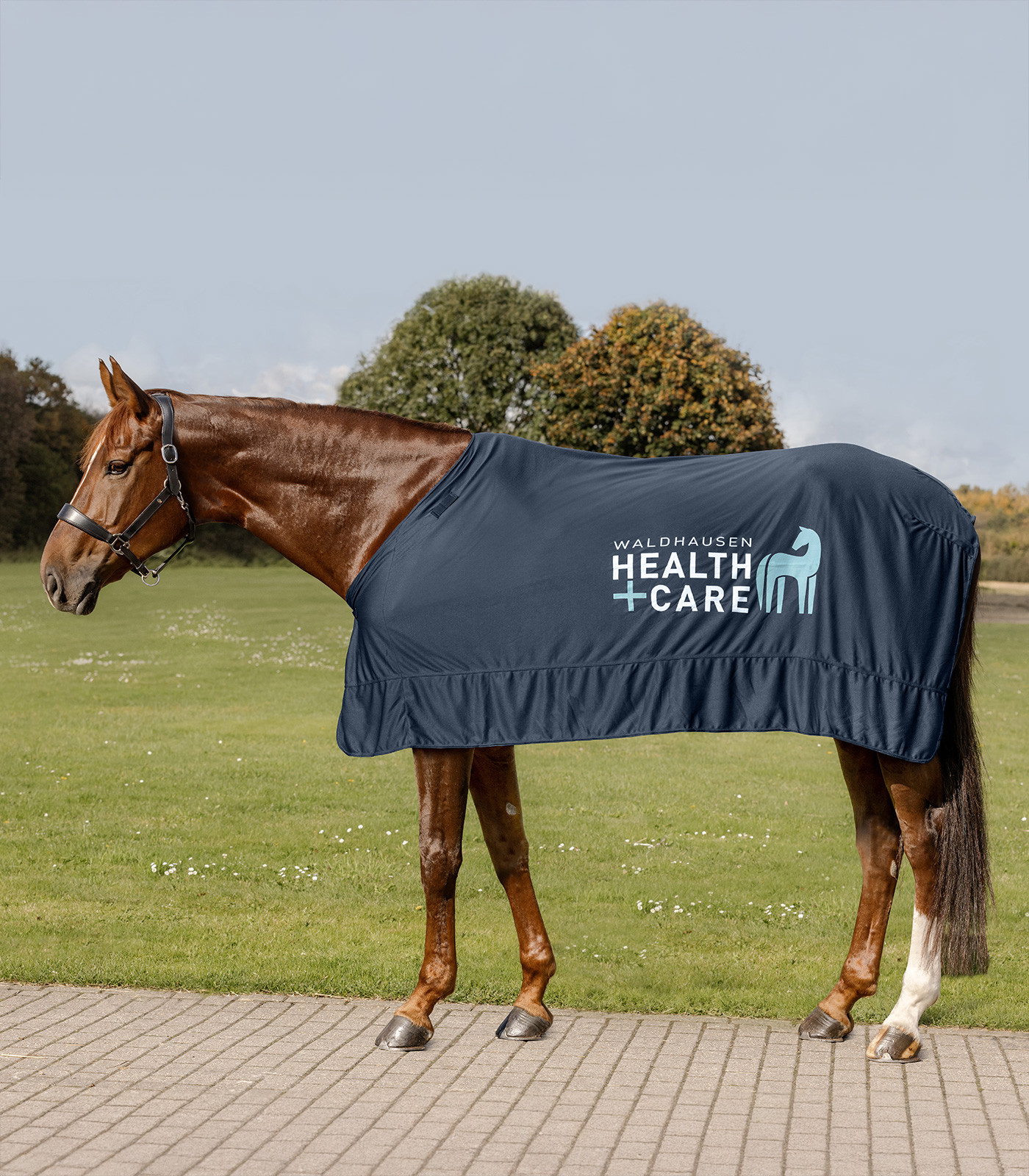 Waldhausen Health + Care Ice-Layer pătură răcoritoare, 135 cm