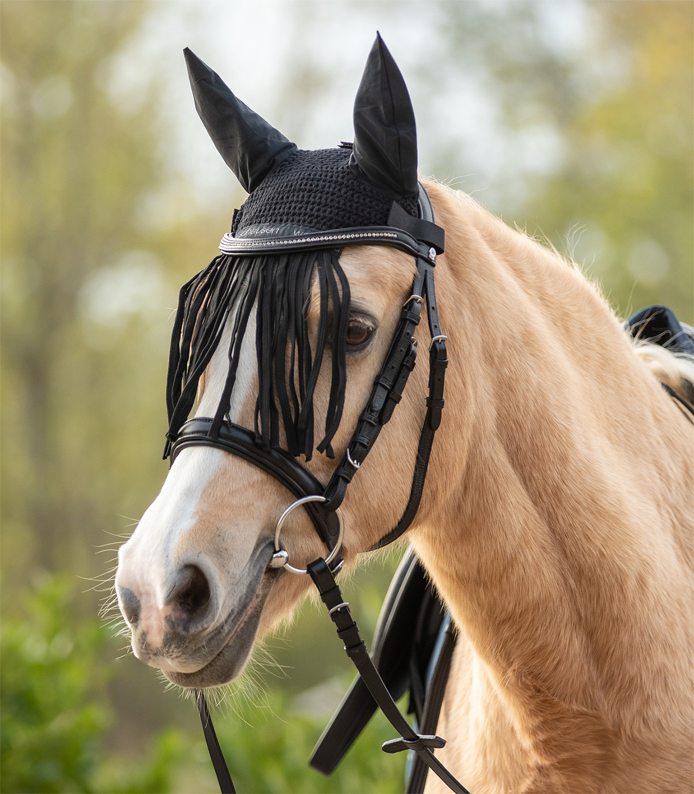 Capison cu franjuri pentru cai, negru, pony