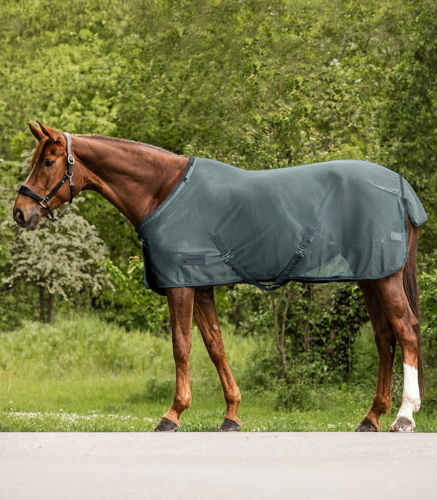 Patura anti-muste Comfort cu chingi incrucisate, verde, 155 cm