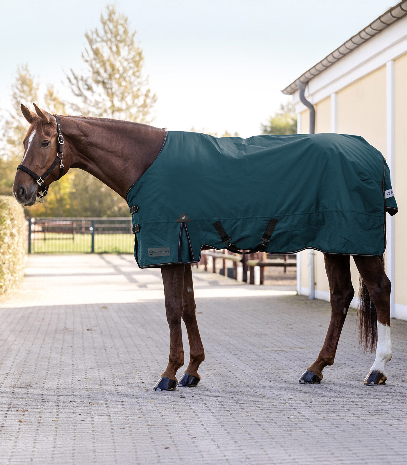 Patura de exterior Arctic-P, albastru petrol, 135 cm