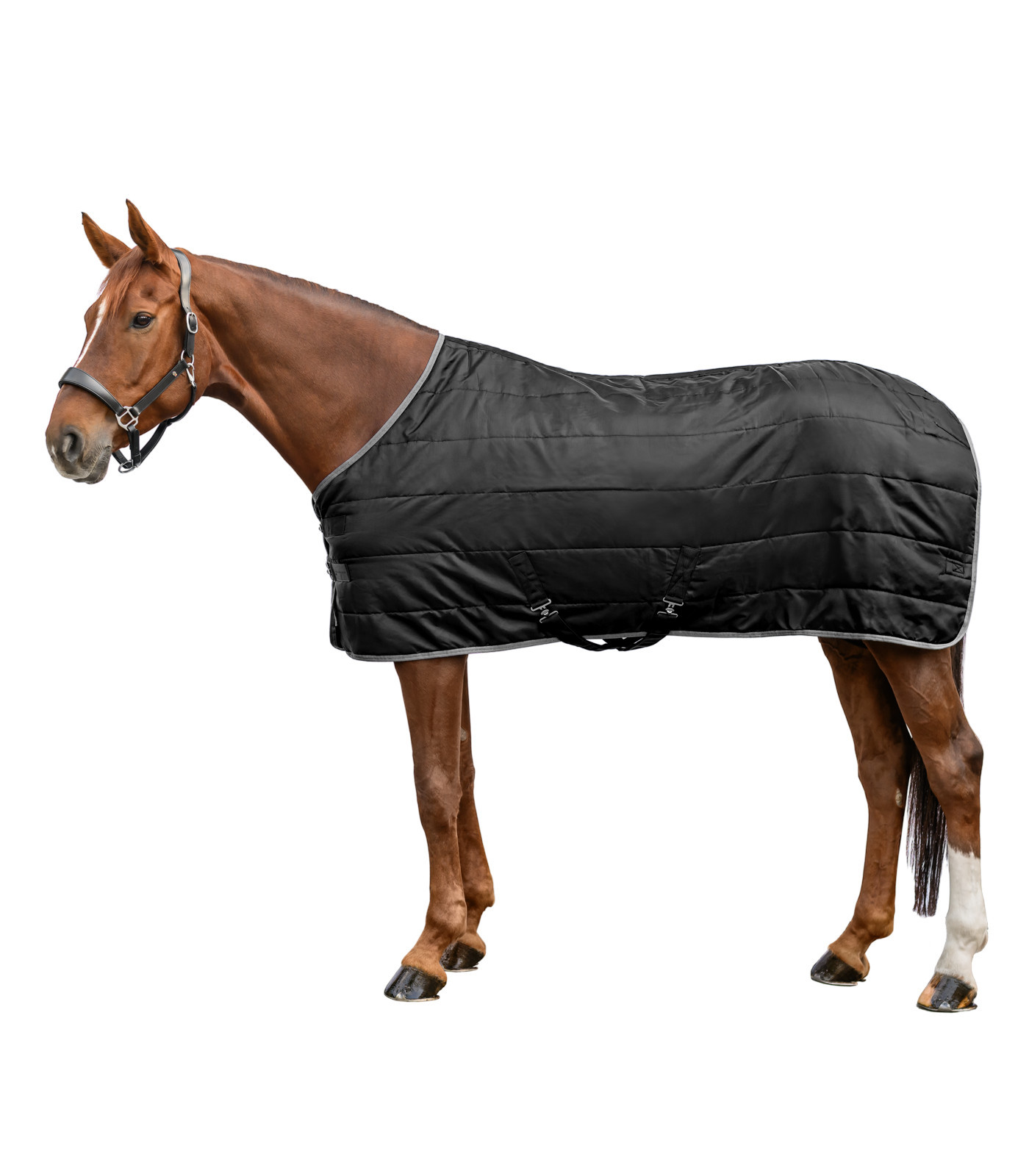 Patura de grajd Economic 100 g, negru, 125 cm
