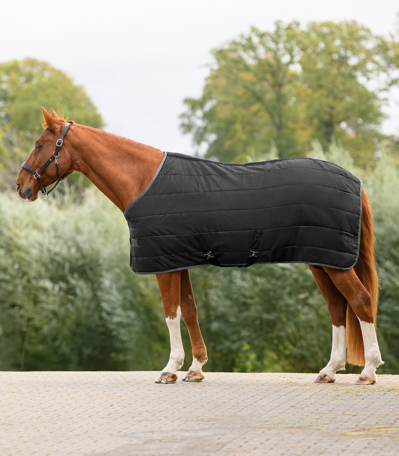 Patura de grajd Economic 100 g, negru, 125 cm