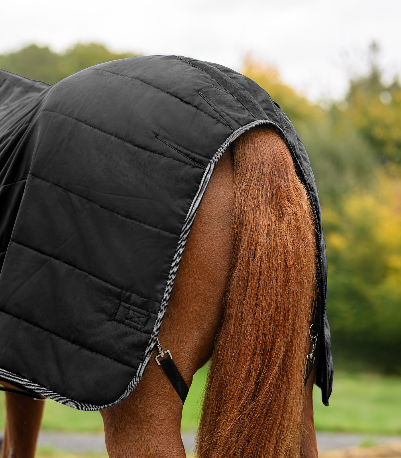 Patura de grajd Economic 100 g, negru, 125 cm