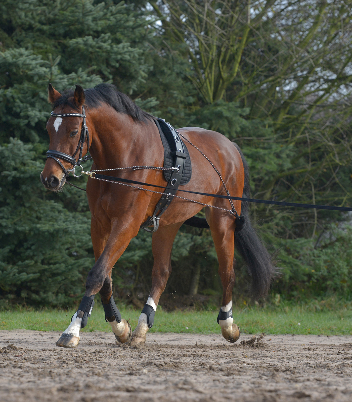 Futószárazó rendszer, fekete, pony/cob