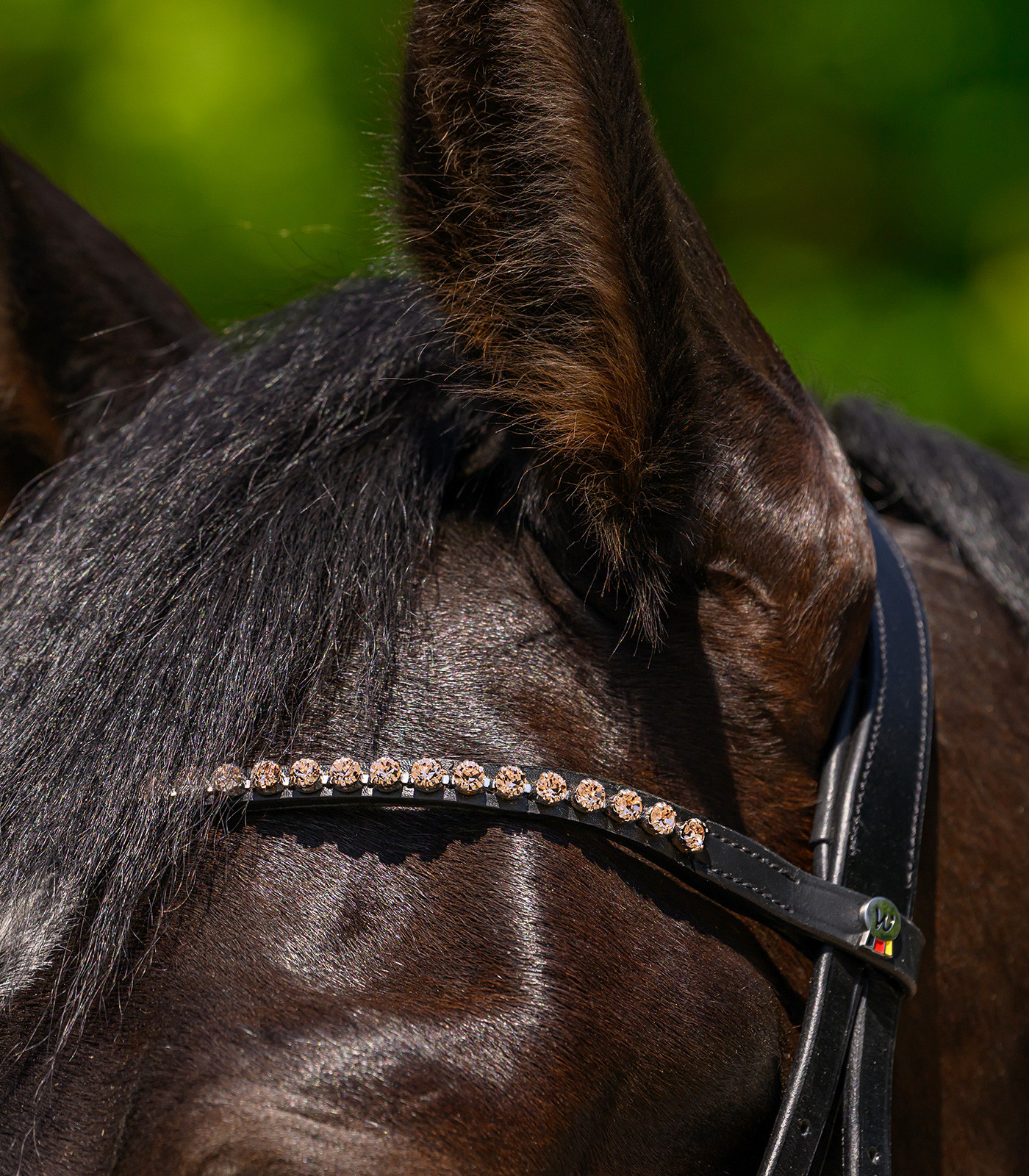 Fruntar X-line Glam, negru, cob