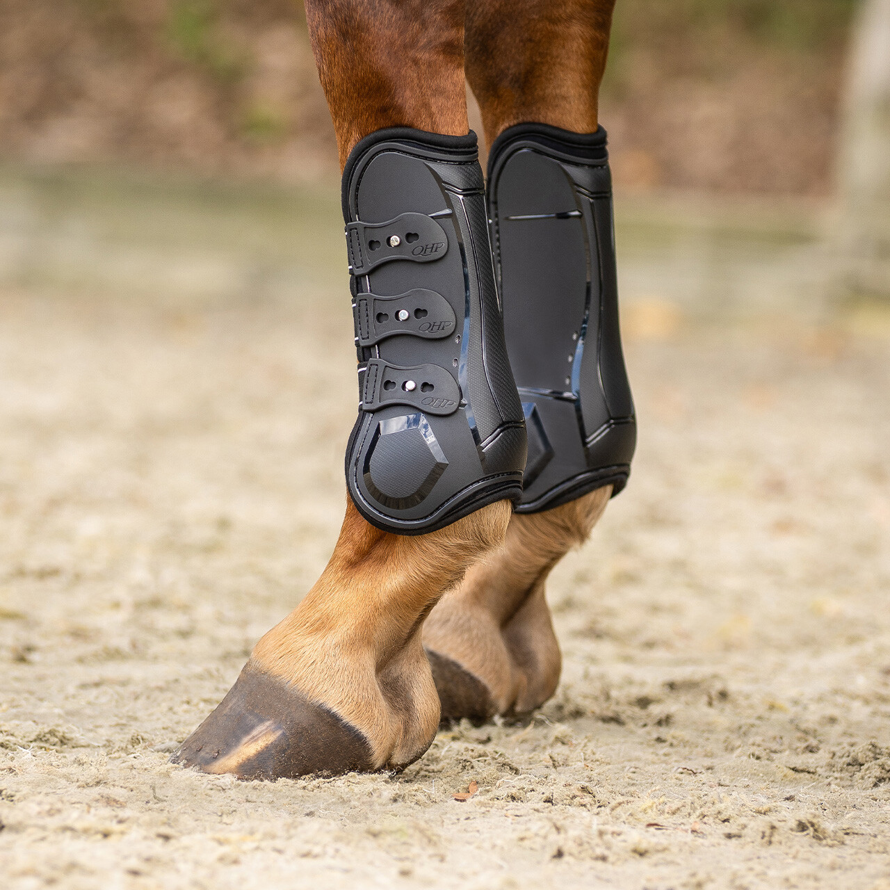 Jambiere pentru cai Champion Qhp, negru, cob