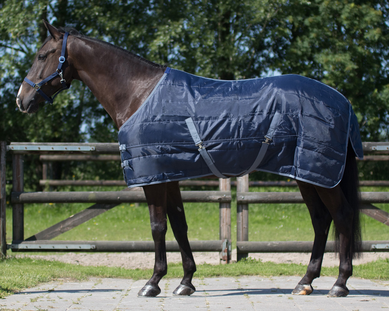 Patura de grajd 150 g, albastru, 125 cm